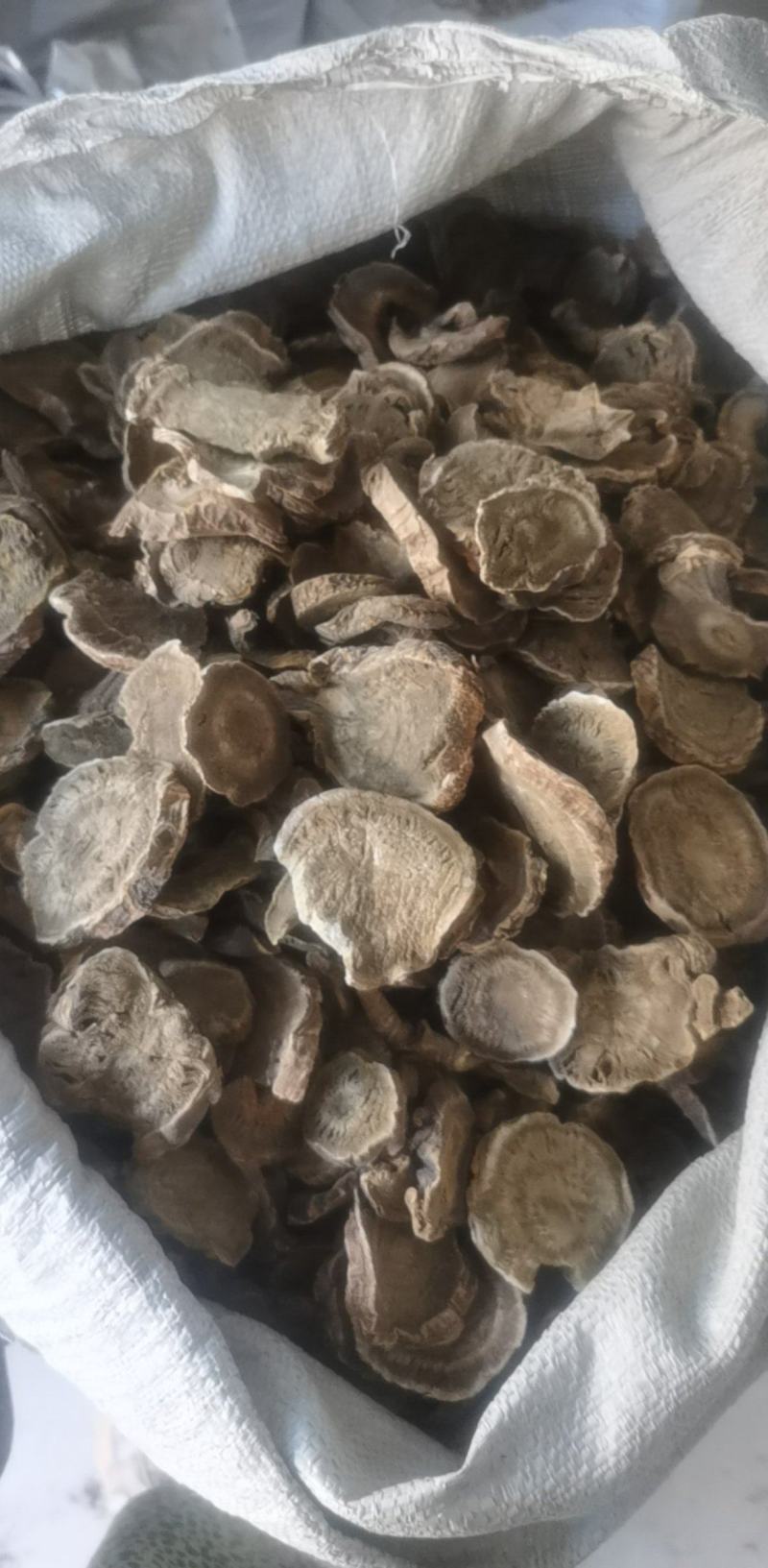 振兴药材批发供应马蹄大黄规格齐全产地直供一手货源全国发货
