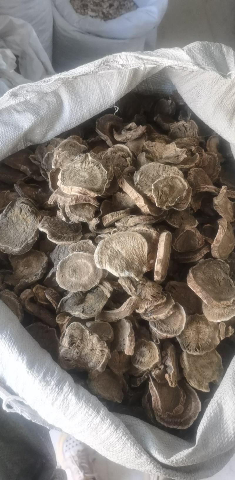 振兴药材批发供应马蹄大黄规格齐全产地直供一手货源全国发货
