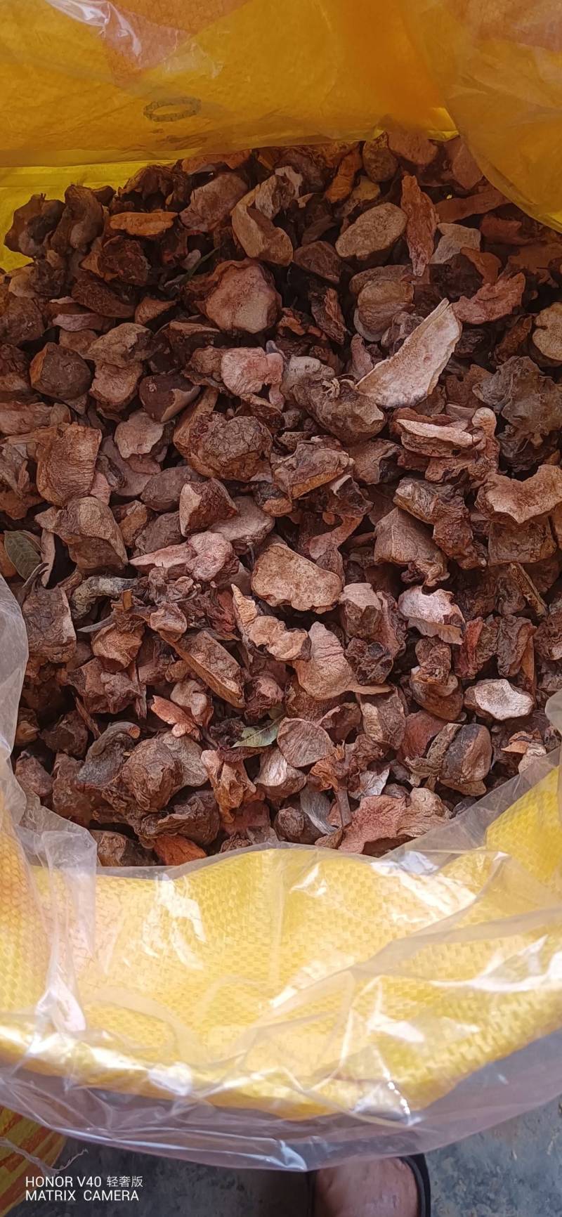 土茯苓广西河池天峨悬野生土茯苓新鲜货
