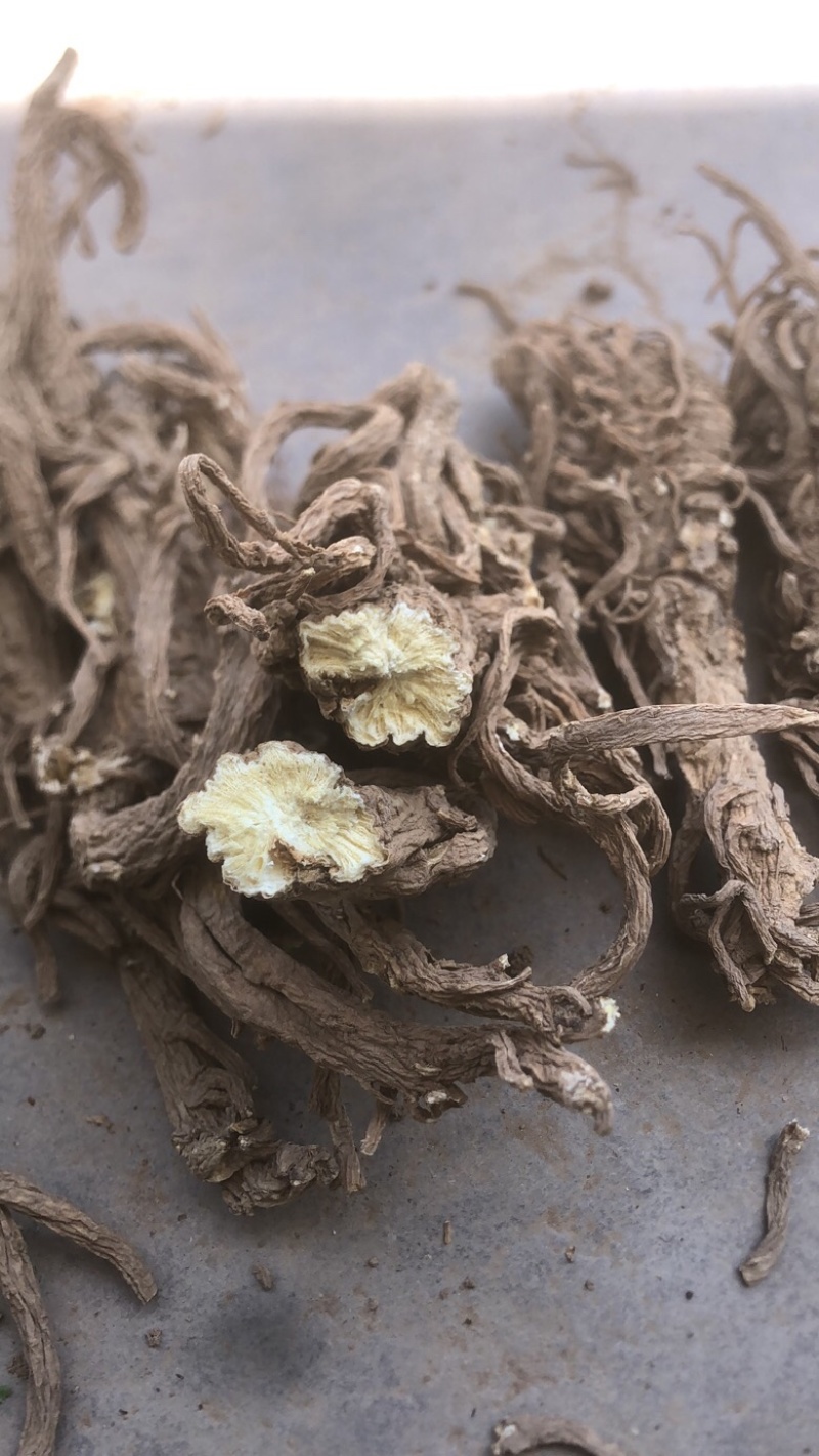 甘肃干独活，干度，颜色，含量，精选