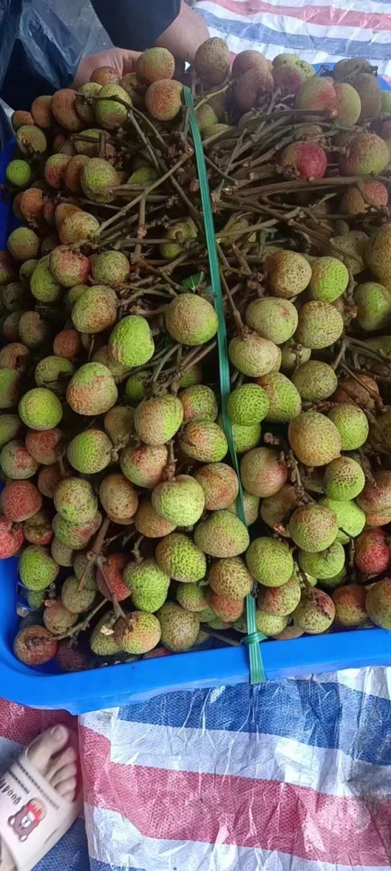 三月红荔枝，产地直销，质量ok，职业代办，