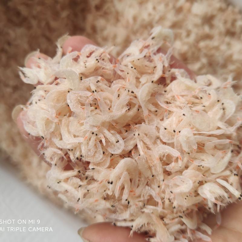 【产地直发】滨州淡干虾皮虾皮清库存品质保障一件代发