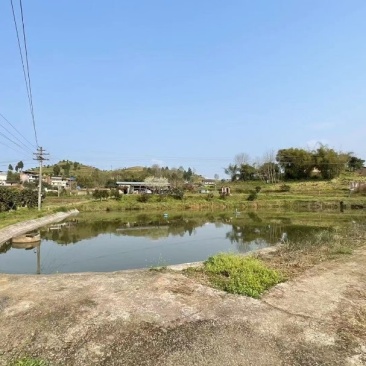 重庆市涪陵珍溪镇30亩鱼塘，水面面积21亩，带增氧机，