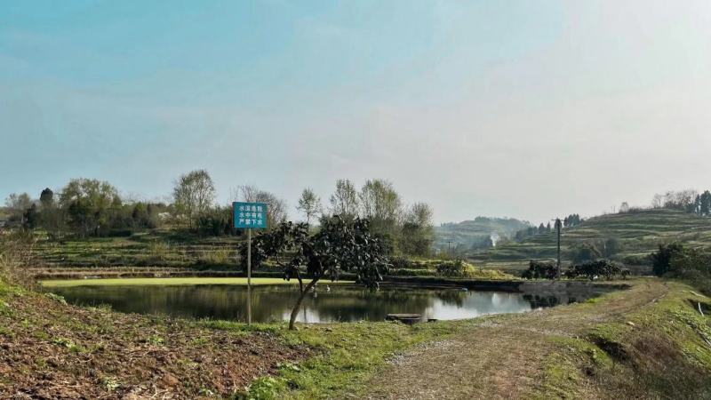 重庆市涪陵珍溪镇30亩鱼塘，水面面积21亩，带增氧机，