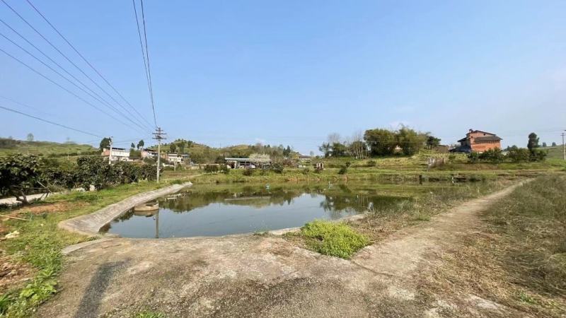 重庆市涪陵珍溪镇30亩鱼塘，水面面积21亩，带增氧机，