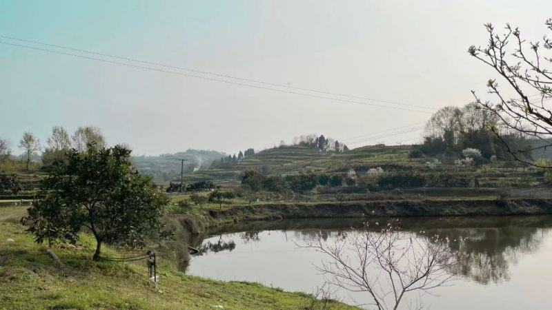 重庆市涪陵珍溪镇30亩鱼塘，水面面积21亩，带增氧机，