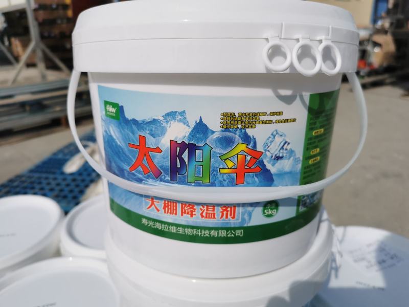 太阳伞大鹏降温剂
