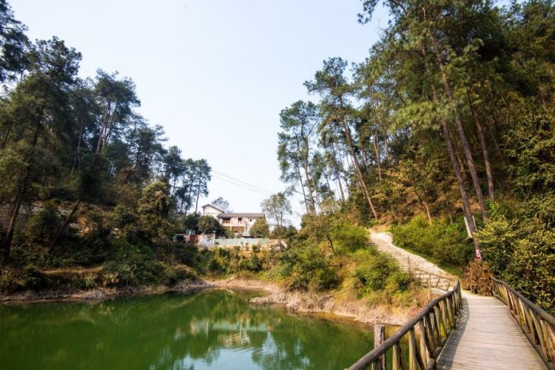 重庆南山1000平半成品民宿转，毗邻南山植物园,群山环