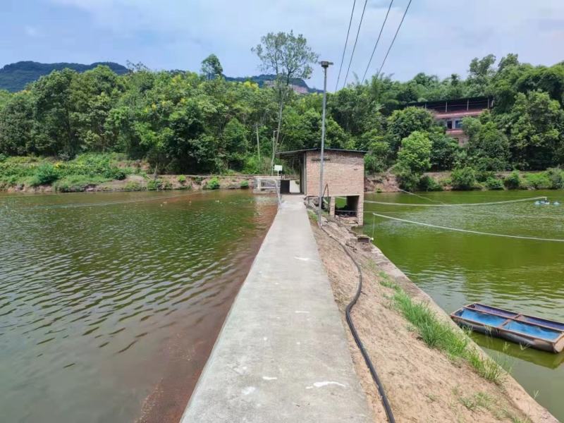 巴南惠民40亩鱼塘出租，有山水，水源优质，公路旁，交通