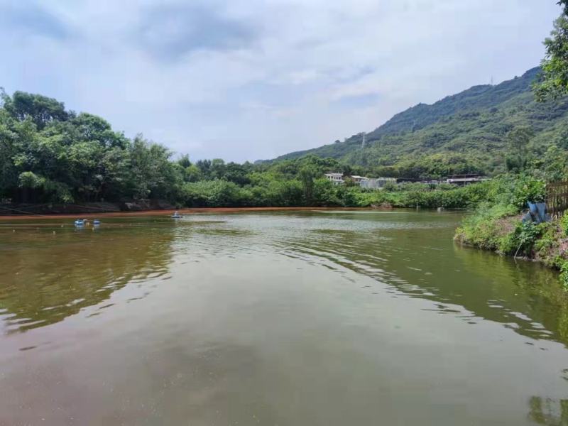 巴南惠民40亩鱼塘出租，有山水，水源优质，公路旁，交通