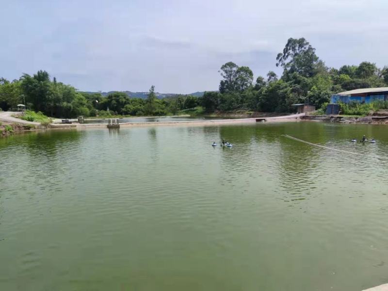 巴南惠民40亩鱼塘出租，有山水，水源优质，公路旁，交通