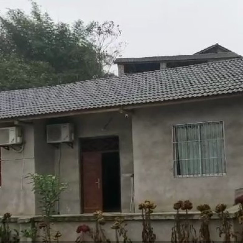 巴南惠民85农房出租，房子位于水塘旁边（不包含水塘