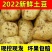 平阴三模土豆黄心土豆大量上市基地直供一手货源