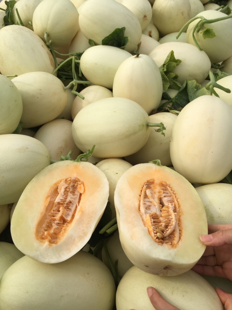 东方翠红