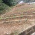 大学城虎峰山上300平独栋别墅加3亩土地出售，售价2