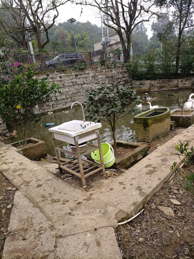 大学城虎峰山上300平独栋别墅加3亩土地出售，售价2