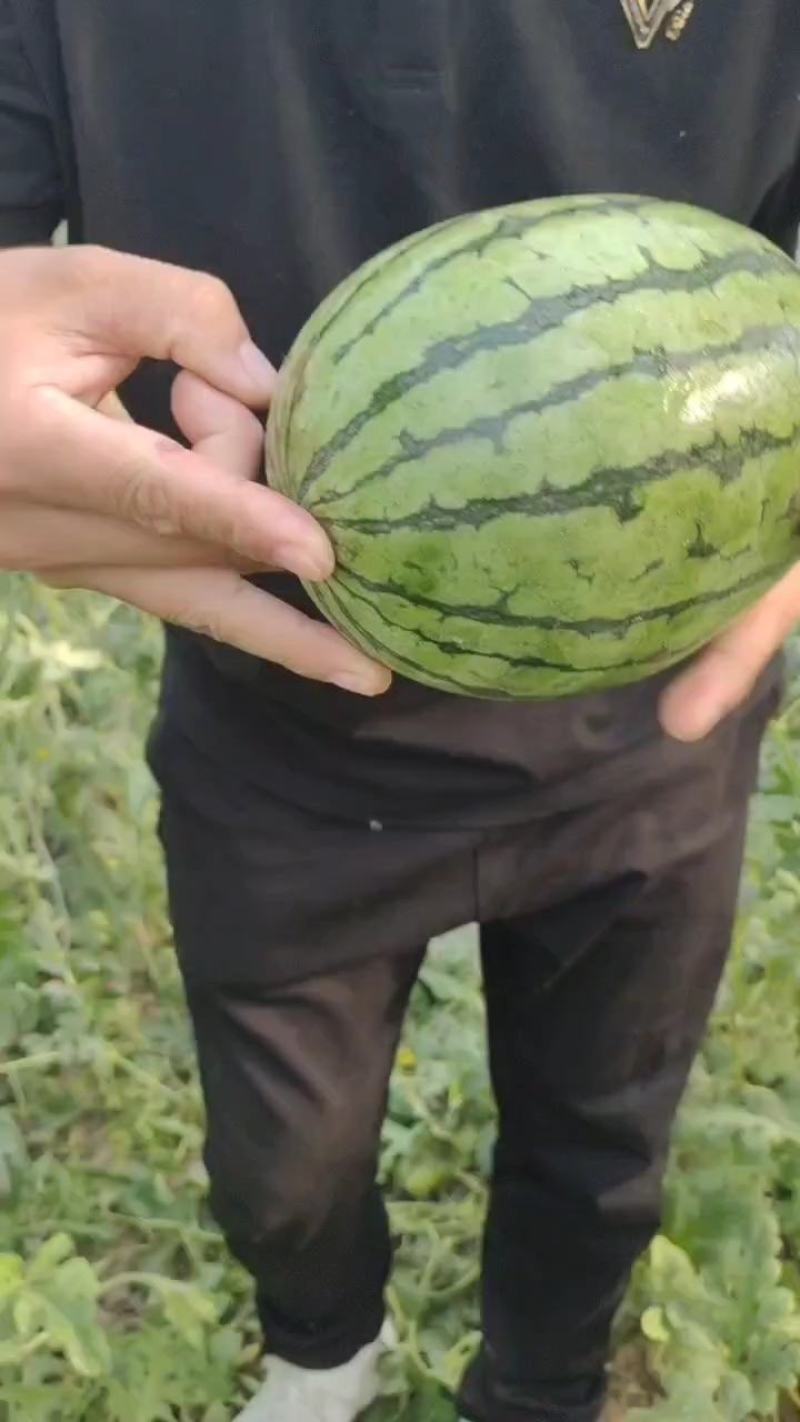 精品小吊瓜2k