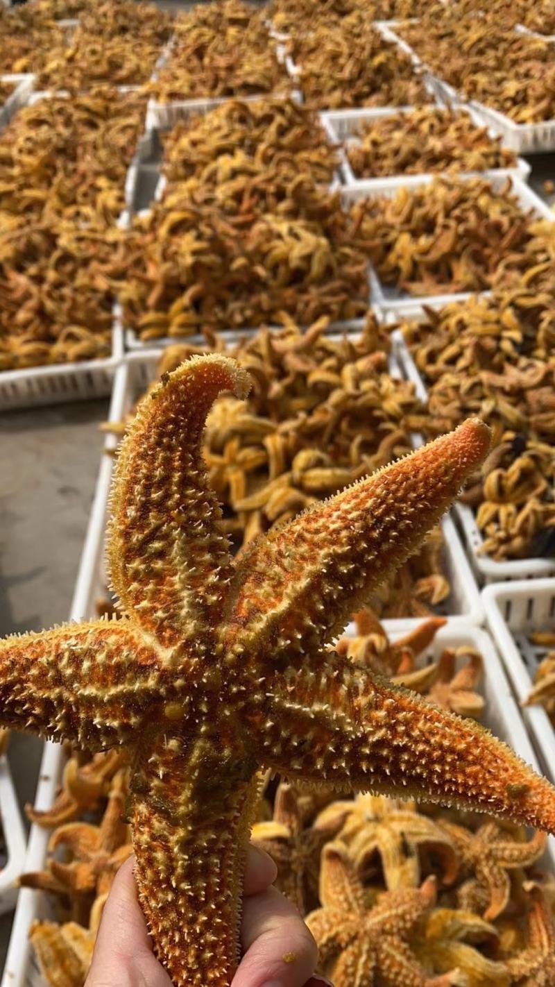 海星工厂直供
