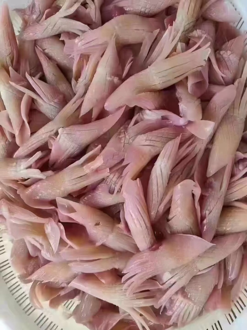 水发火箭鱿鱼