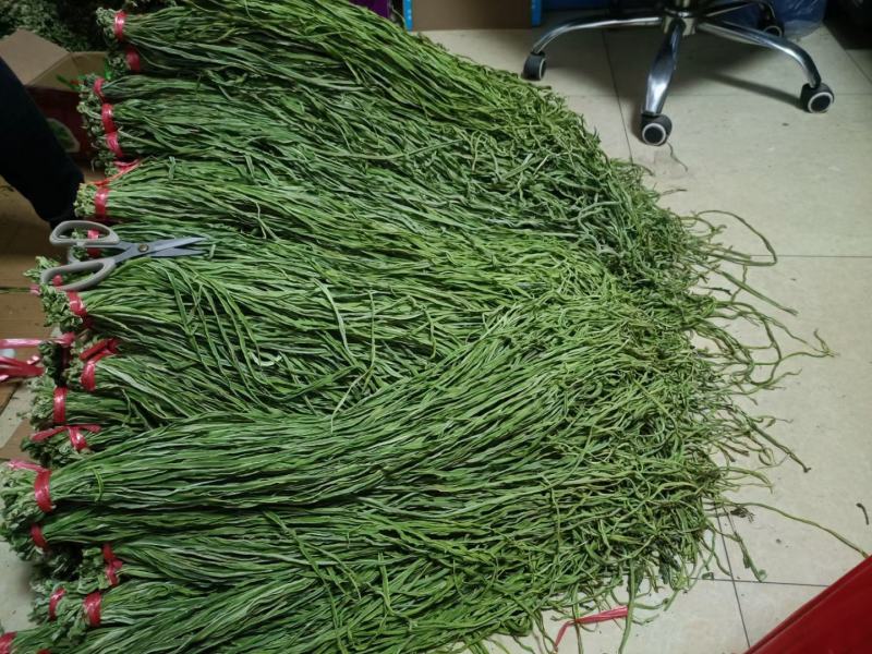 5斤特级无叶贡菜新鲜苔干苔菜农家干货土特产脱水