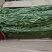5斤特级无叶贡菜新鲜苔干苔菜农家干货土特产脱水