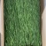 5斤特级无叶贡菜新鲜苔干苔菜农家干货土特产脱水