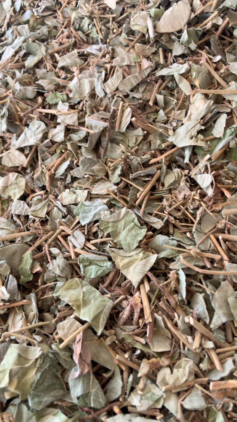 大叶金钱草中药材金钱草无硫熏新货纯手机拍摄量大价格从优