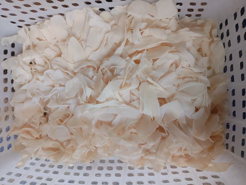 笋片新货江西毛竹笋闽笋压榨笋一斤泡发4斤水发酒店餐饮麻辣