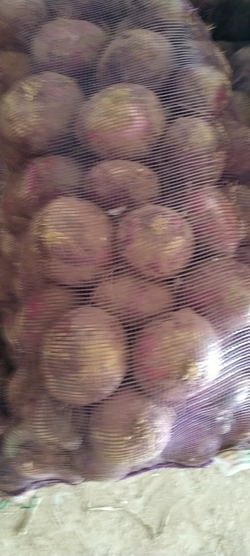 河南通许紫皮洋葱产地直销，电商超市市场80以上精品