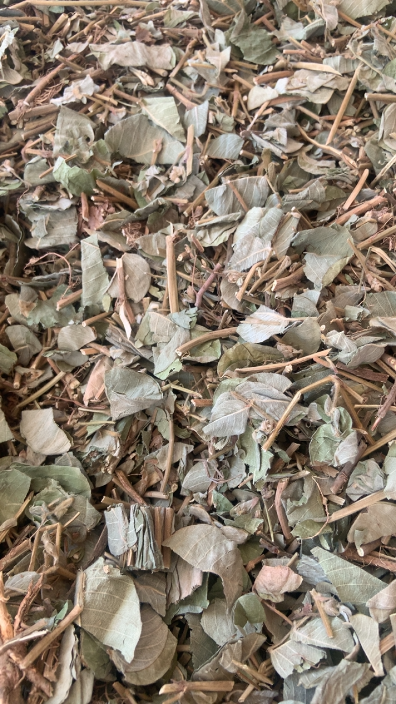 大叶金钱草中药材金钱草无硫熏新货纯手机拍摄量大价格从优