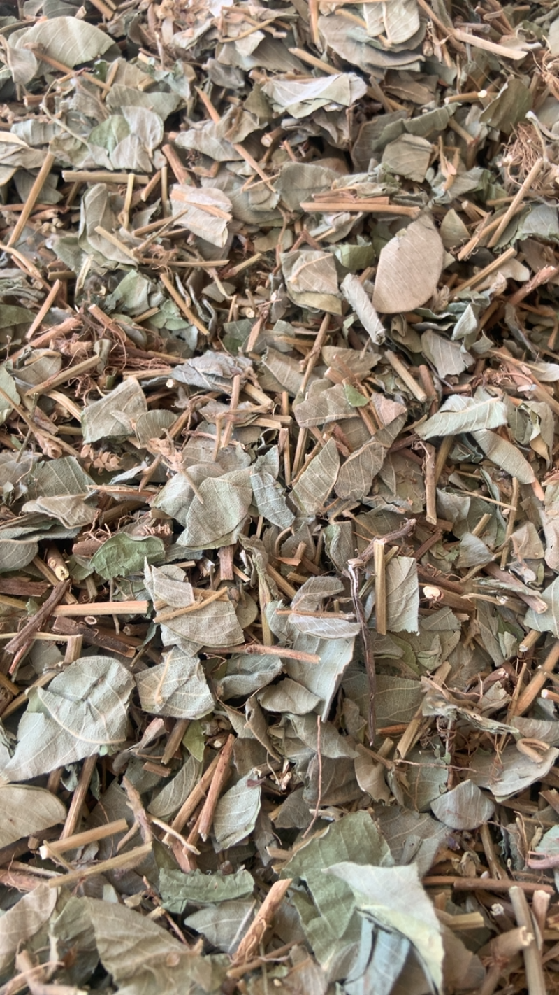 大叶金钱草中药材金钱草无硫熏新货纯手机拍摄量大价格从优
