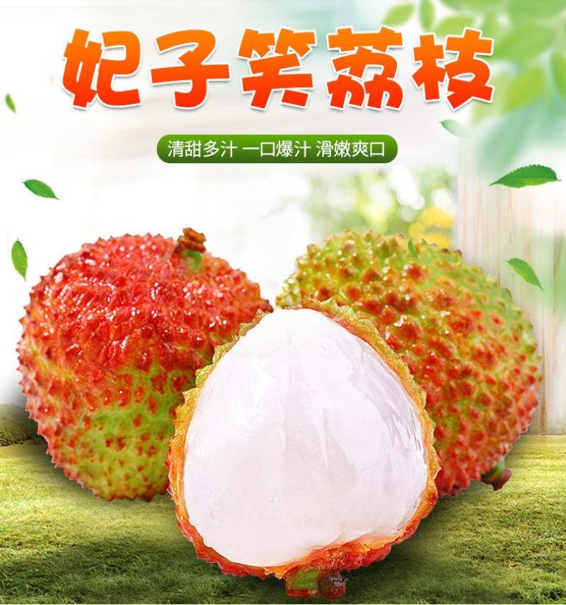 广东省廉江市良垌精品妃子笑荔枝代办代收代发服务欢迎咨询