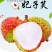 广东省廉江市良垌精品妃子笑荔枝代办代收代发服务欢迎咨询