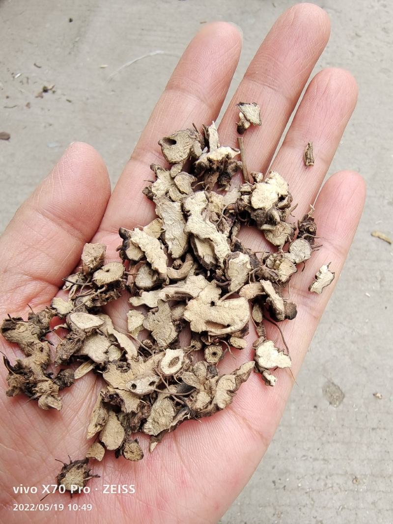 仙灵脾淫羊藿根大片选货量大优惠2斤起包邮