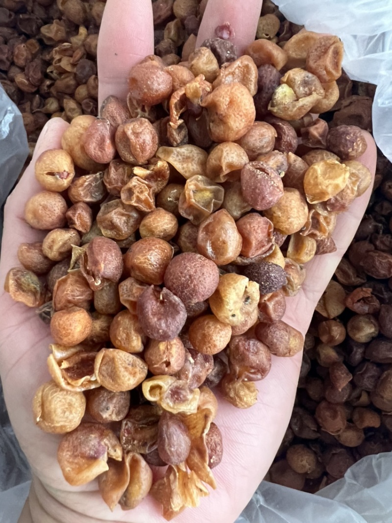 山黄皮新货足干中药香料用