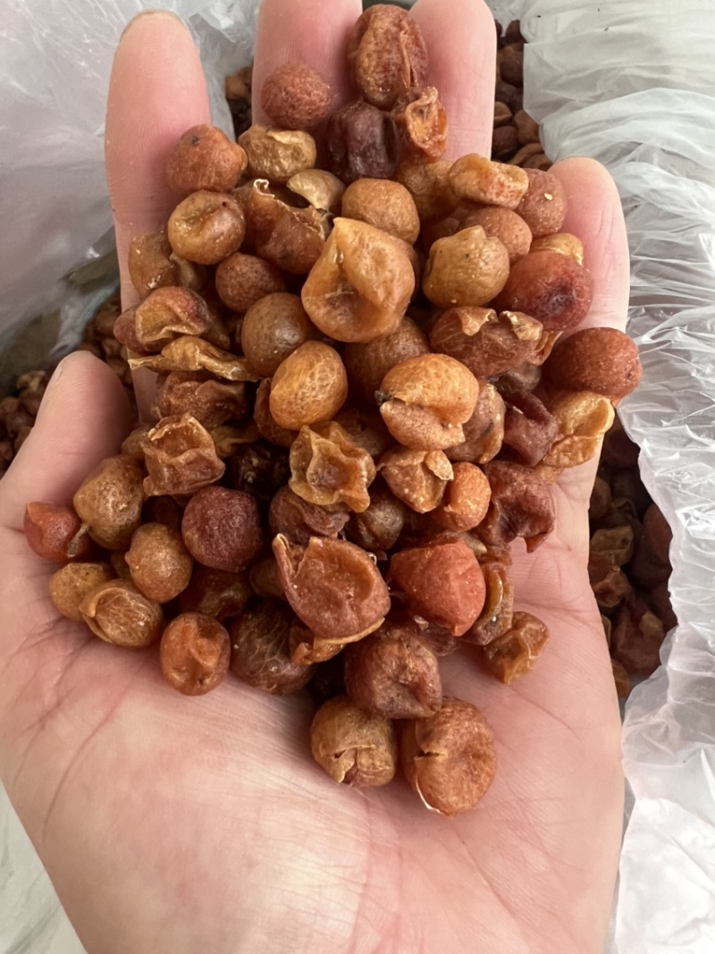 山黄皮新货足干中药香料用