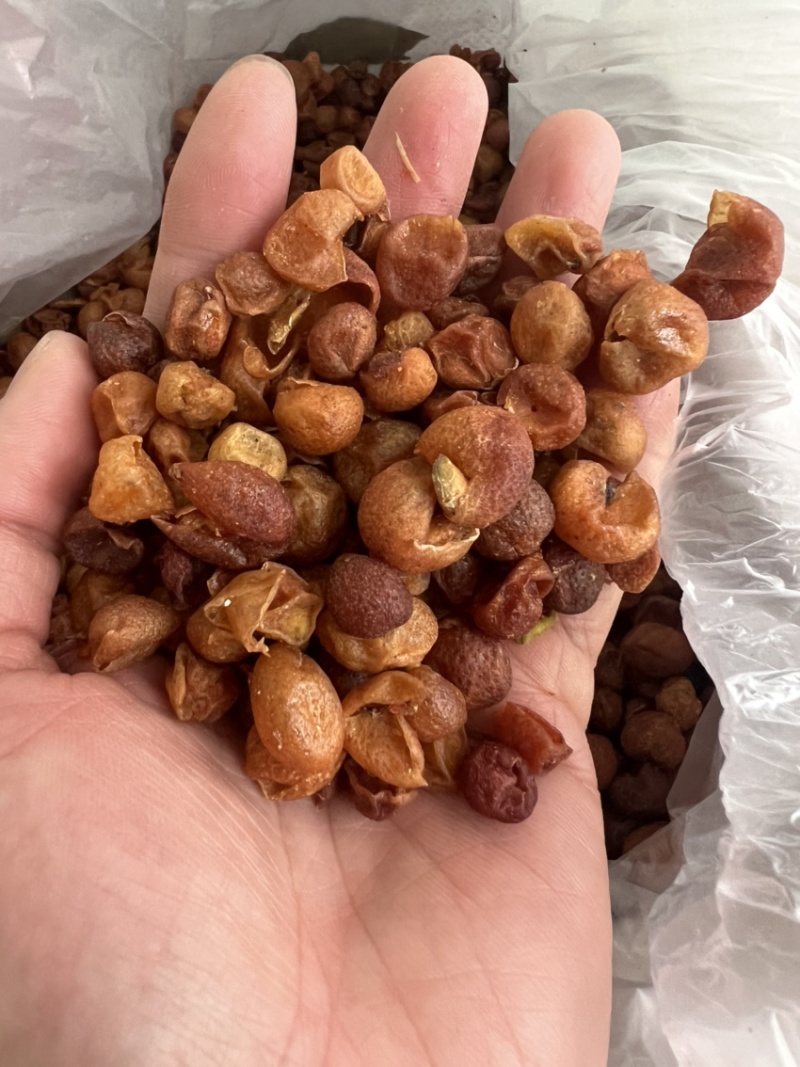 山黄皮新货足干中药香料用
