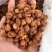 山黄皮新货足干中药香料用