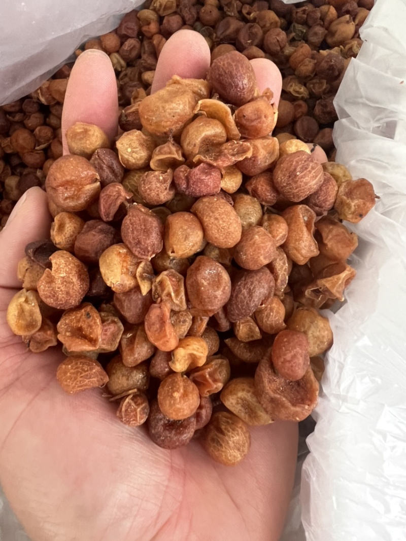 山黄皮新货足干中药香料用