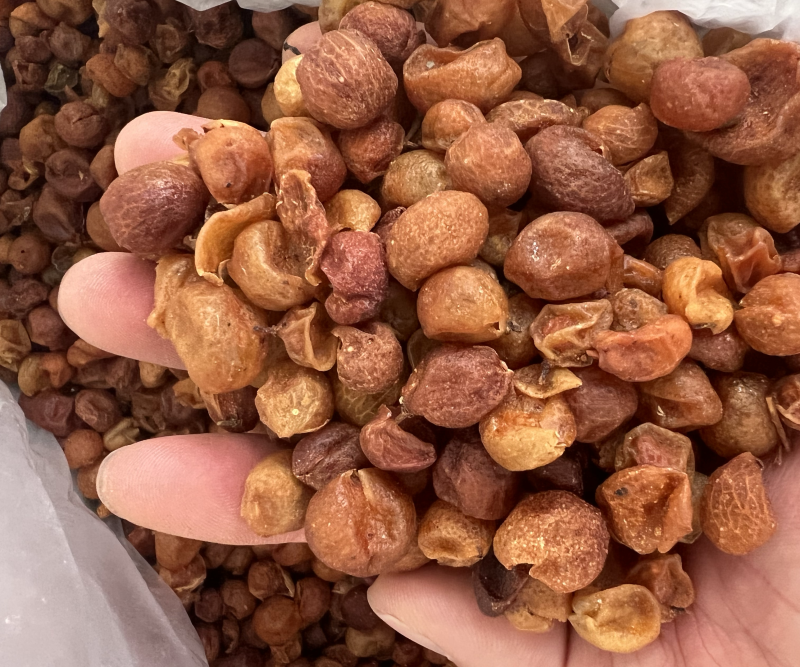 山黄皮新货足干中药香料用
