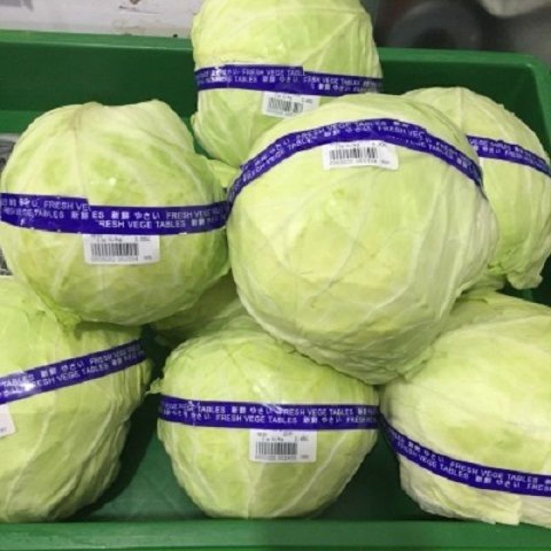 超市捆扎蔬菜胶带扎口胶带果蔬胶带彩色生鲜捆菜环保蔬菜胶带