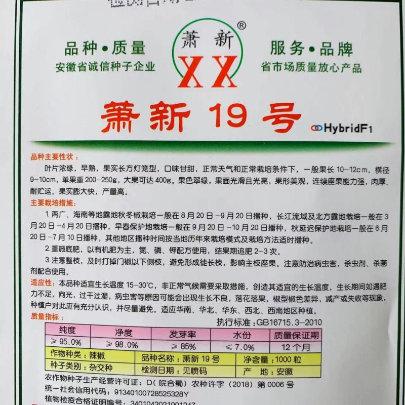 萧新19号甜椒种子改良型果大长方灯笼形味甘甜早熟菜椒种籽