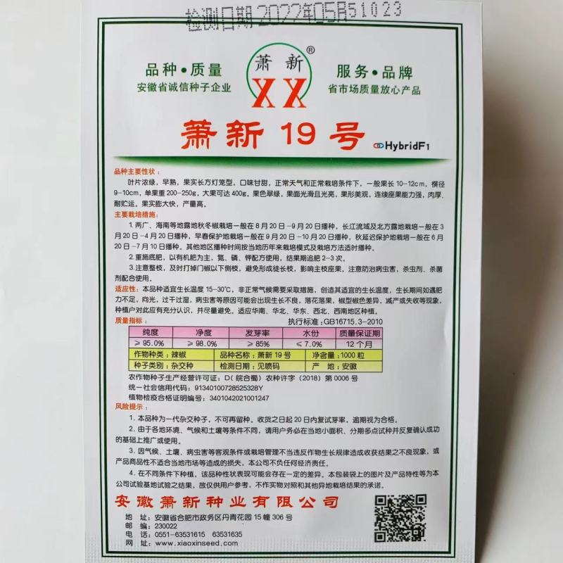 萧新19号甜椒种子改良型果大长方灯笼形味甘甜早熟菜椒种籽