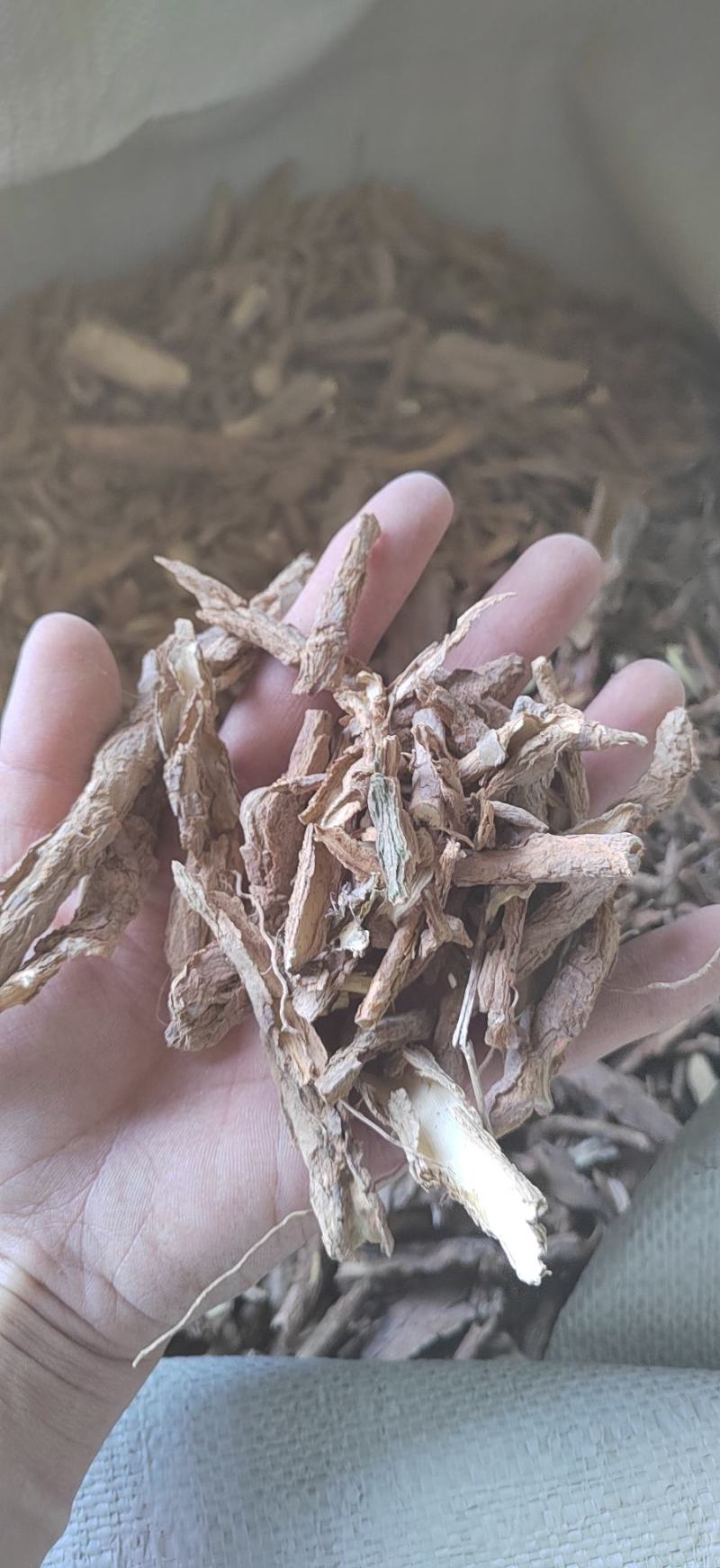 地骨皮，甘肃产地，常年供应，恢份低