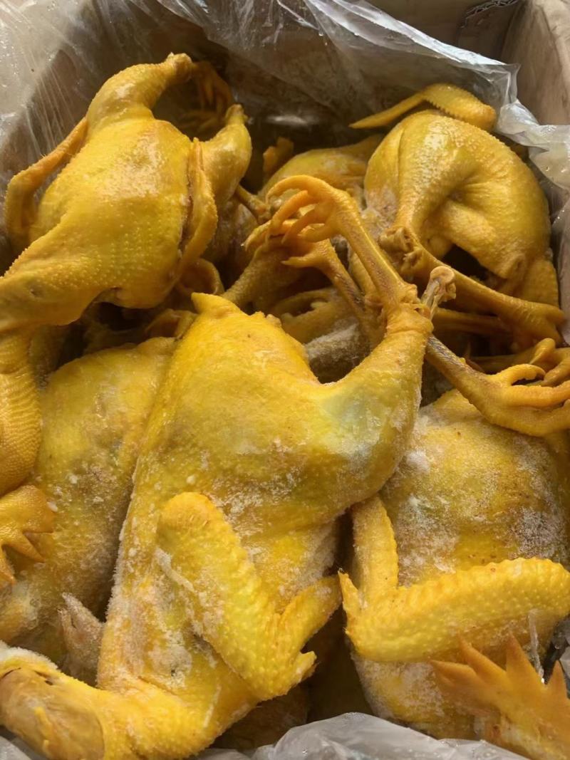 正宗三黄鸡整只冷冻鸡肉手撕盐局鸡真空古法鸡