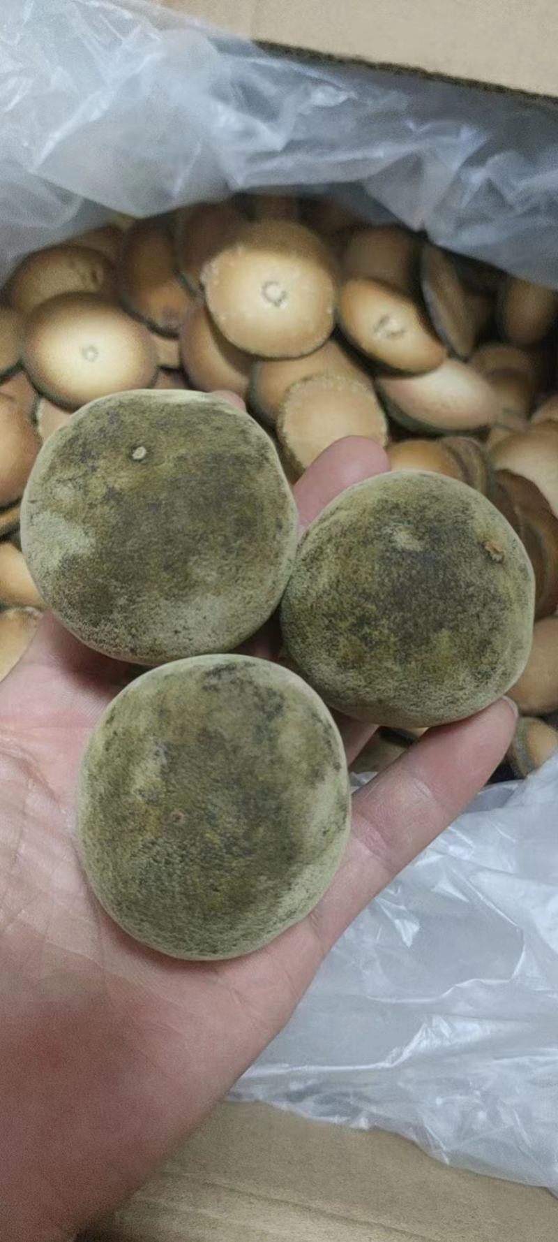 正宗化州橘红干果