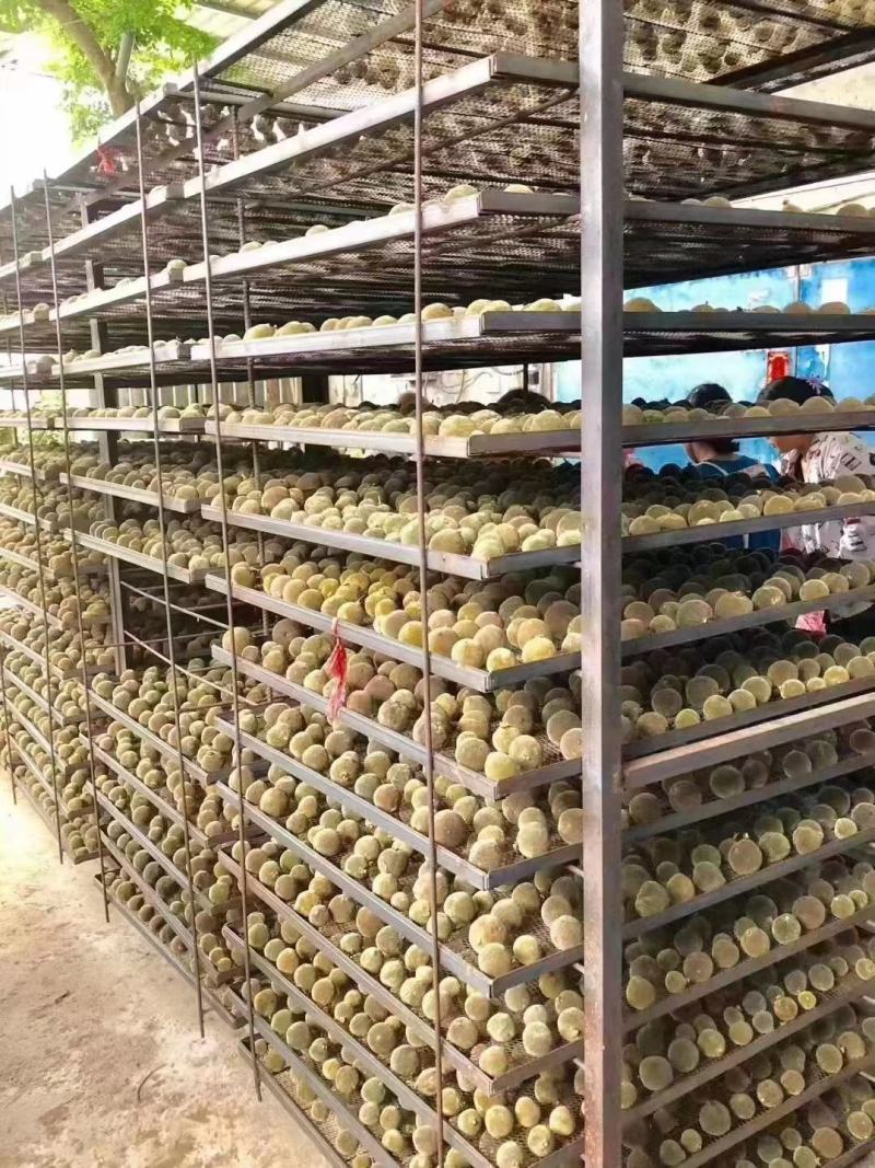正宗化州橘红干果
