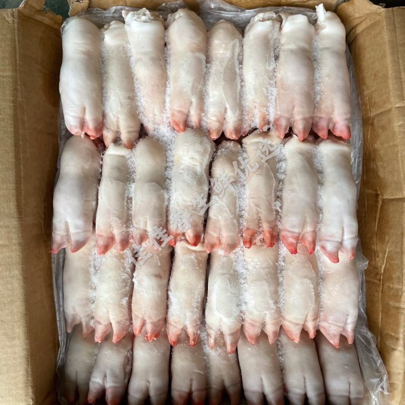 猪蹄前蹄20斤冷冻生猪蹄带筋猪蹄整只小猪蹄子猪爪前蹄