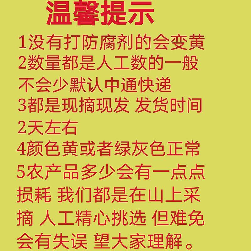 江西粽叶新鲜特大粽叶现摘端午节粽子叶非芦苇叶干叶嫩叶棕叶