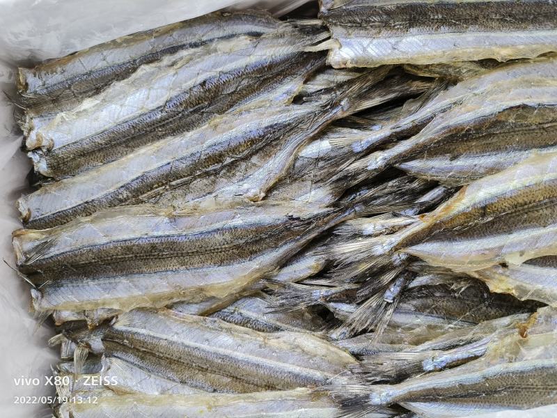 单冻针鱼片马步鱼棒棒鱼烧烤店日式料理店专用产品烧烤多味鱼